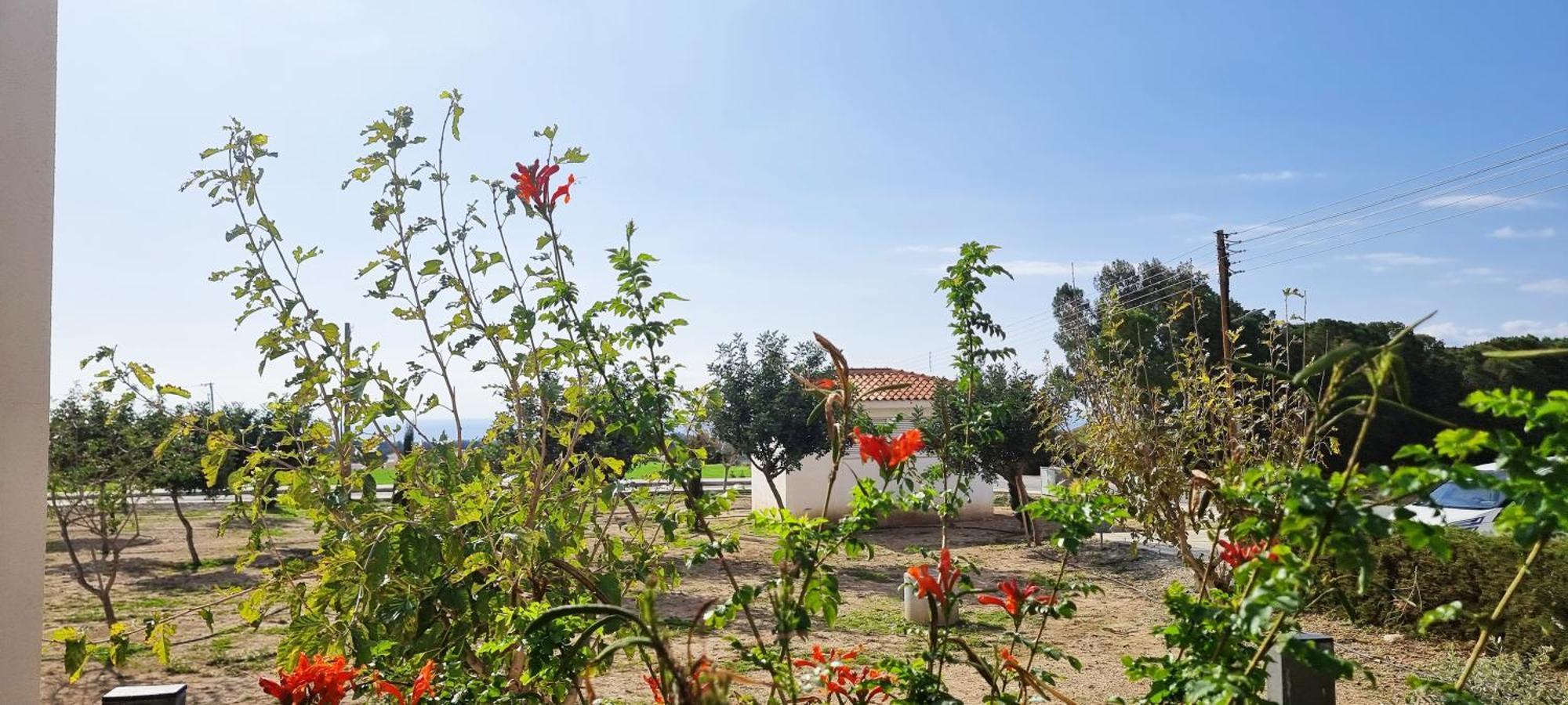 Shanti Paphos Villa 外观 照片